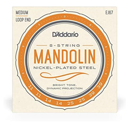 D'Addario EJ67 Loop End 11-39 Nickel Medium 8 Mandolin Strings