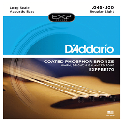 D'Addario EPBB170 45-100 Soft Acoustic Bass Strings