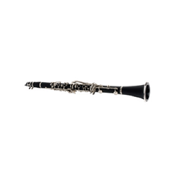 SCL2200 Sinclair Clarinet w/ Case