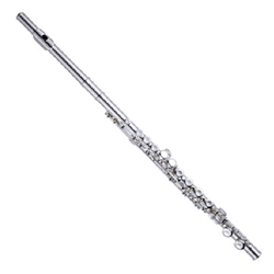 SFL2100 Sinclair Flute W/case