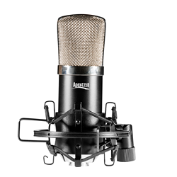 Apex APEX435B Compact Studio Condenser Microphone with Shock Mount and Case