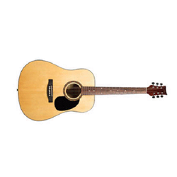 Beaver Creek BCTD101 Dreadnought Acoustic Guitar - Natural w/ Gig Bag