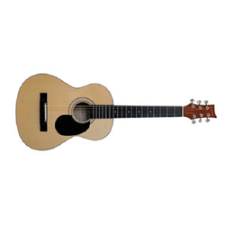 Beaver Creek BCTD401 1/2 Size Acoustic Guitar - Natural with Gig Bag