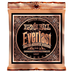 Ernie Ball 2548EB Everlast Phosphor Bronze Light 11-52