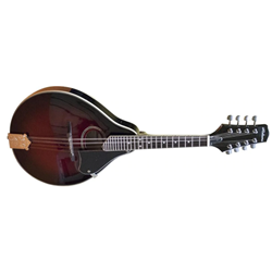 Alabama ALM18 Mandolin - Red Sunburst A-Style Archtop