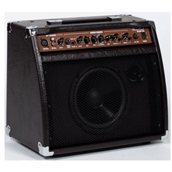 Beaver Creek BCAMP-20A Acoustic Amp - 20w