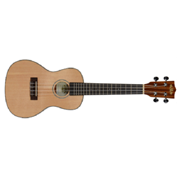 Kala KA-SSTU-C Concert Travel Uke Ukulele with Gig Bag