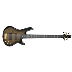 Ibanez GSR205PCTPB Gio SR Series 5 String RH Electric Bass - Transparent Pale Black Burst