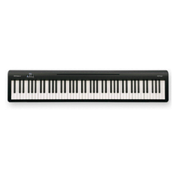 Roland FP-10-BK 88 Key Portable Digital Piano W/speakers-Black