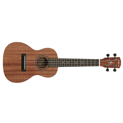 Alvarez RU22C Concert Ukulele - Natural Satin