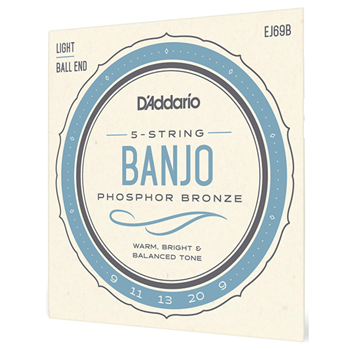 D'Addario EJ69B Phosphor Bronze 5-String Ball End Banjo, Light 9-20