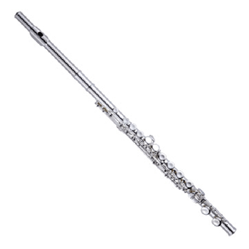 SFL2100 Sinclair Flute W/case