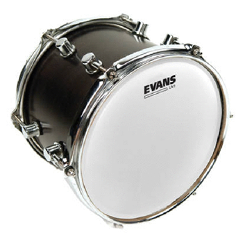 Evans B14UV1 14" Uv1 Coated