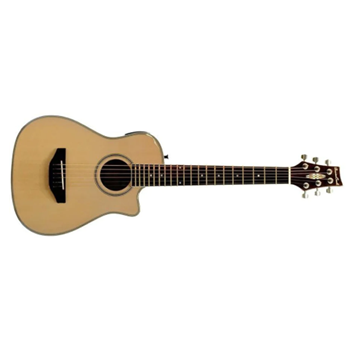 Beaver Creek BCRB501CE Travel Size Acoustic-Electric Guitar with Gig Bag
