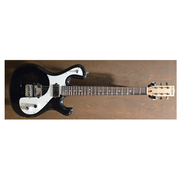Backline Guitars BFGBLK Badfish Electric Guitar in Black w/ Hardshell Case