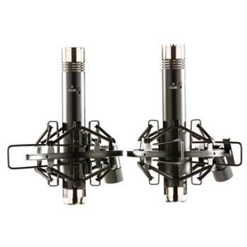 Apex APEX485B Matched Pencil Microphones