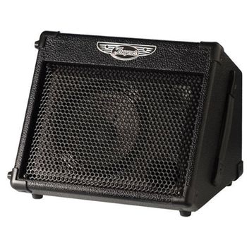 Traynor TVM10-U (USED) 2-Channel - 10 Watt Battery Powered Wedge Amp