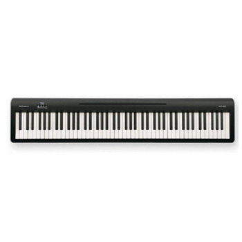 Roland FP-10-BK 88 Key Portable Digital Piano W/speakers-Black