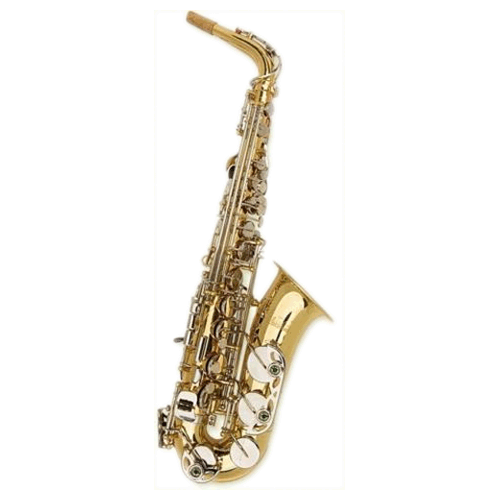 Alto Saxophone Outfit